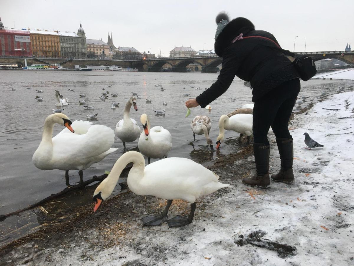 Apartment Vltava Prag Dış mekan fotoğraf